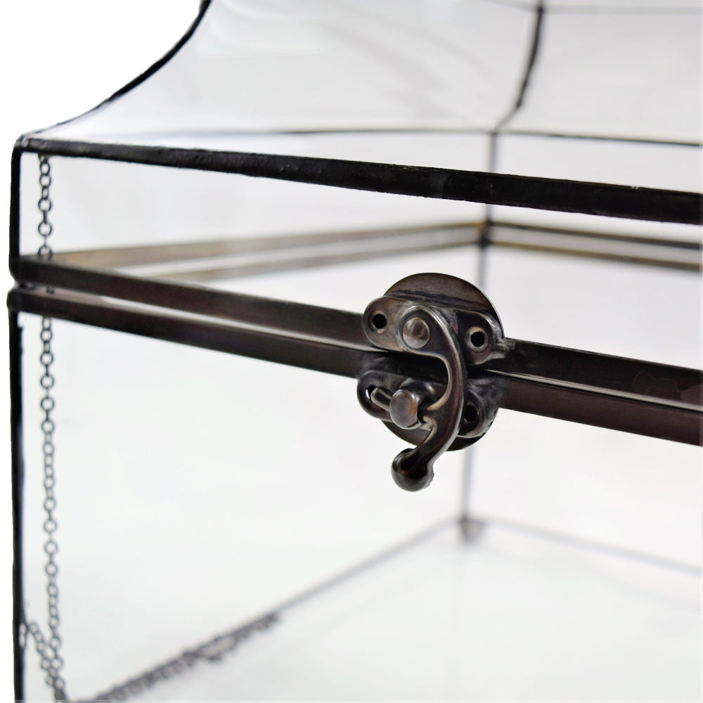 Clear Glass Display Case Large Decorative Box 600