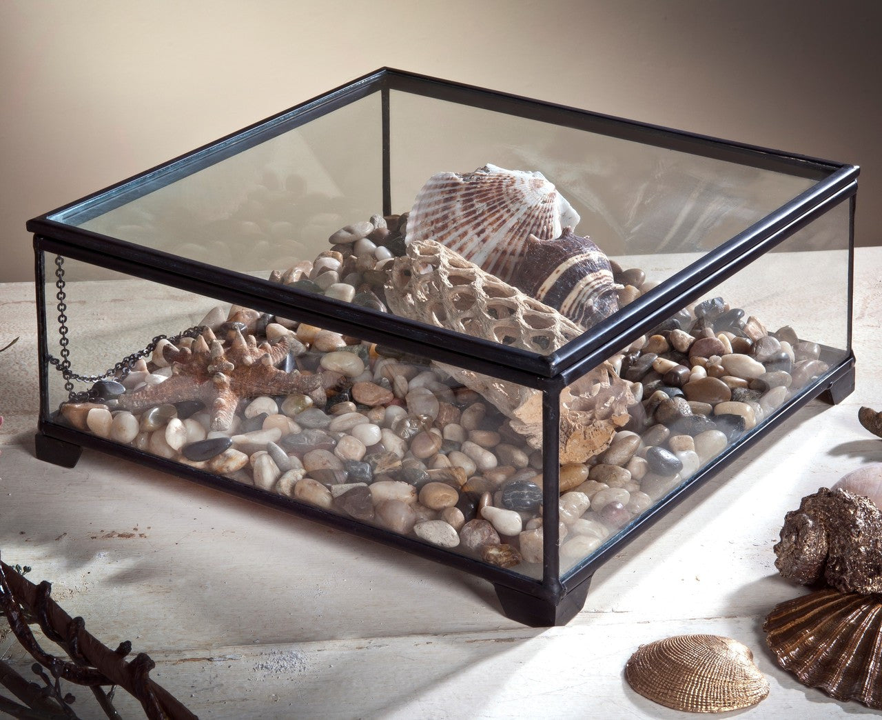 Clear Glass Display Case Decorative Keepsake Box 747