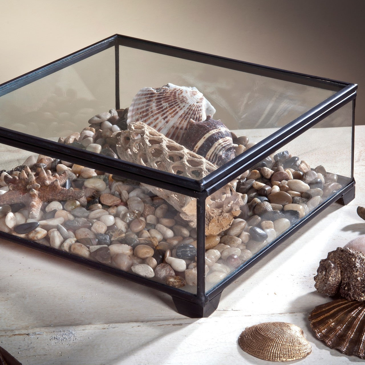 Clear Glass Display Case Decorative Keepsake Box 747
