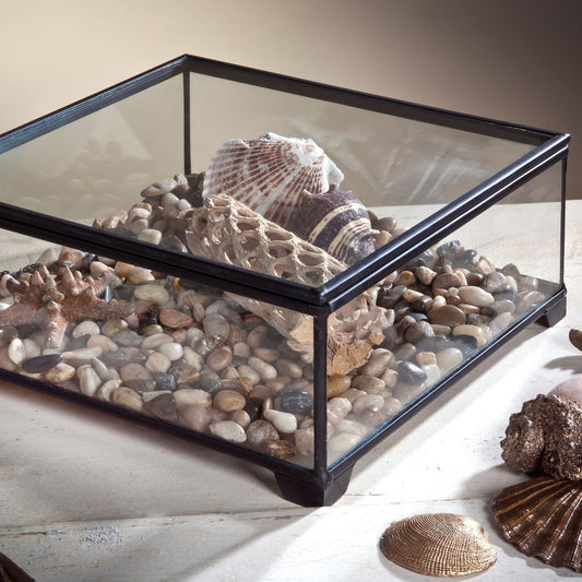 Clear Glass Display Case Decorative Keepsake Box 747