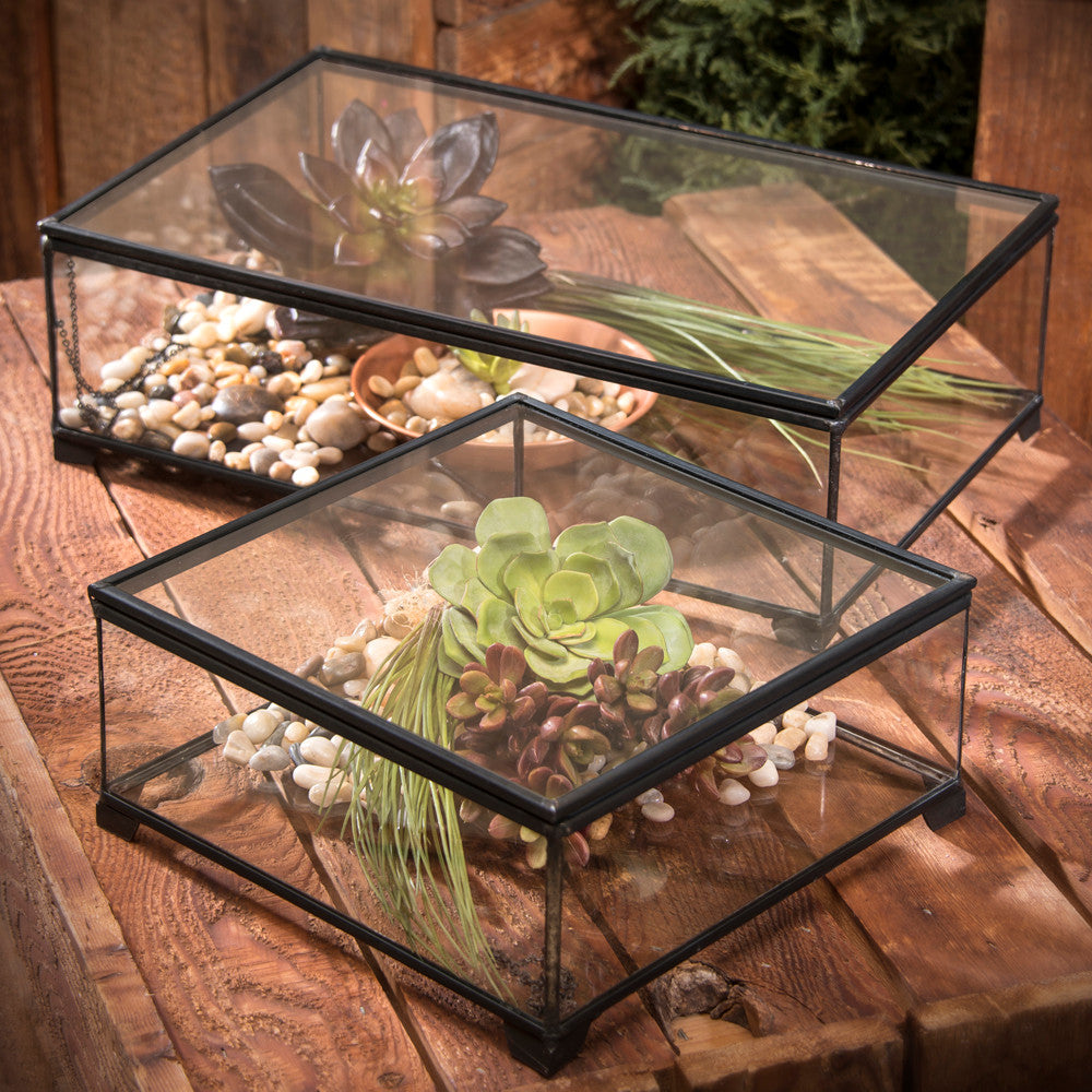 Large Clear Glass Display Case Keepsake Box 748