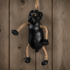 Bac 011 Black Lab Ornament
