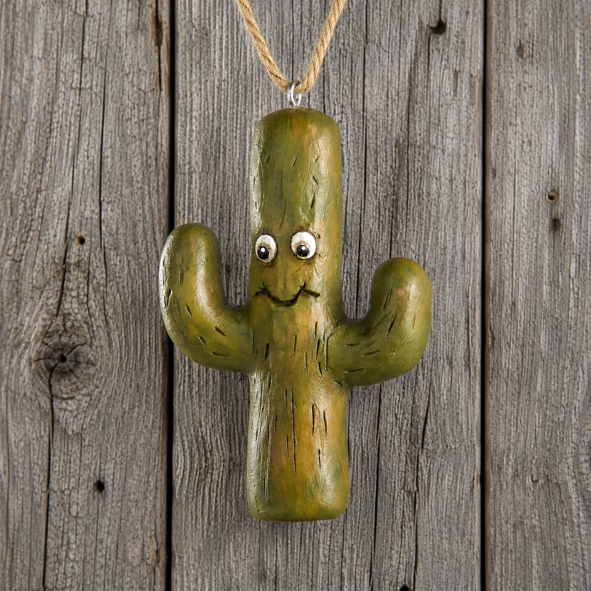 Bert Anderson Southwestern cactus ornament with smiling face and jute hanger displayed against rustic weathered barnwood.