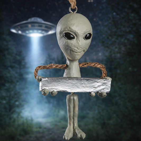 Bac 176 Alien Ornament with Sign