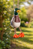 Bac 016 Duck Ornament