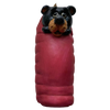 Bac 201 Bear in Sleeping Bag Ornament