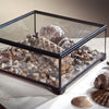 Clear Glass Display Case Decorative Keepsake Box 747