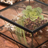 Memorial Keepsake Display Case Personalized by J Devlin Glass Art | Box 747 EB232