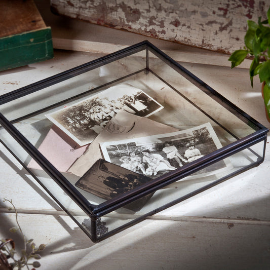 Clear Glass Display Case Decorative Keepsake Box 749